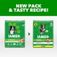 thumbnail image 4 of IAMS Proactive Health Adult MiniChunks Chicken and Whole Grain Recipe Dry Dog Food, 38.5 lb Bag, 4 of 12