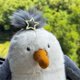 thumbnail image 5 of Jellycat,Jellycats Plushies, Jellycat Stuffed Animals Toy, Jellycat Penuins Plush Toy Endless Fun - 9.8Inches,Bedtime Friend Easter Christmas Birthday Gifts for Girls Boys Kids Women, 5 of 8