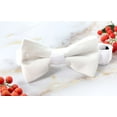 thumbnail image 3 of Spring Notions Boys' Velvet Bow Tie, 3 of 4