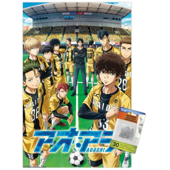 AO ASHI - Esperion FC Wall Poster with Push Pins, 14.725" x 22.375"
