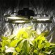 thumbnail image 2 of Lámpara LED de cultivo, E27, 1000 W, 3000 K, luces de espectro completo para plantas, tienda de cultivo, semillas, flores, hierbas, invernadero., 2 of 5