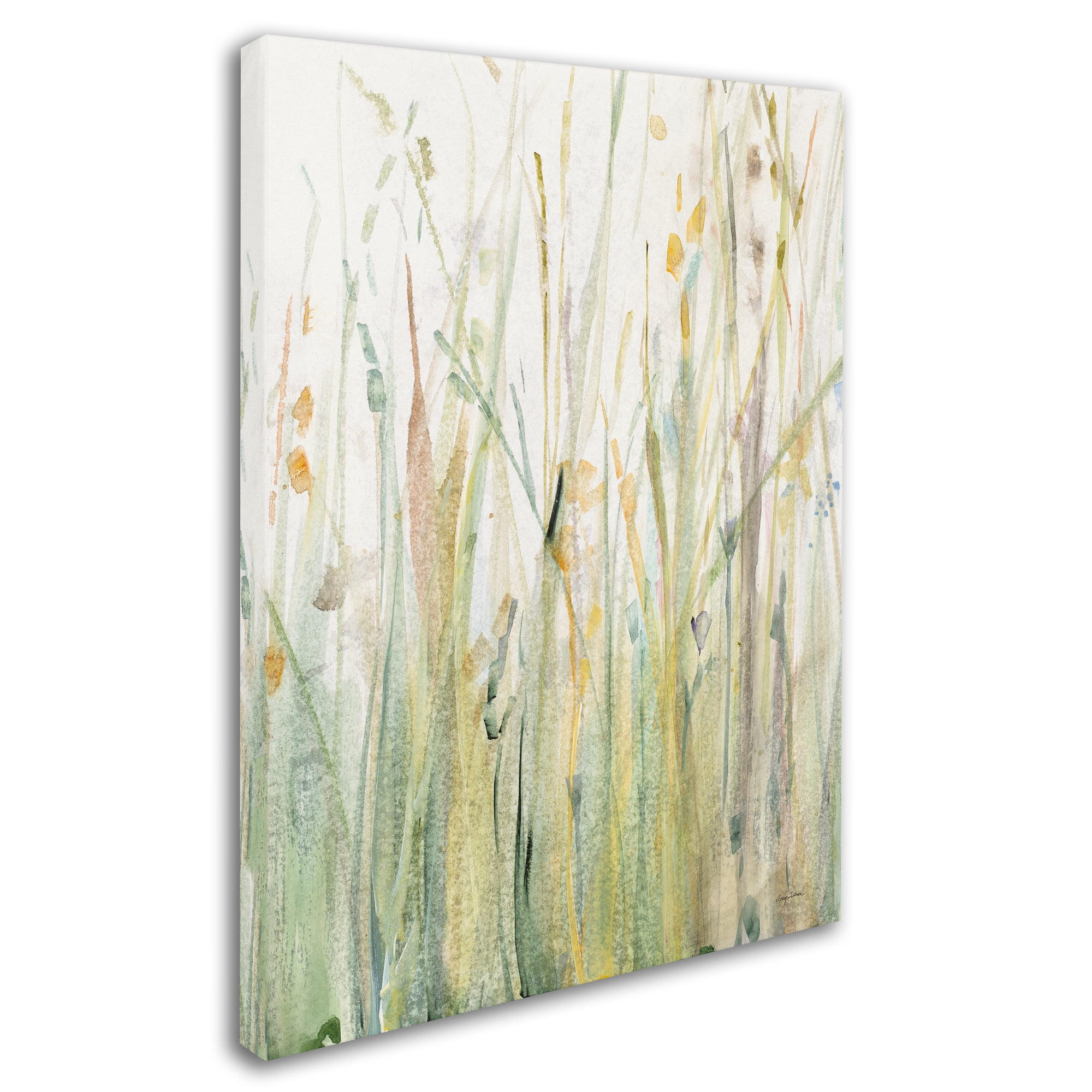 Trademark Fine Art "Spring Grasses I Crop" Canvas Art by Avery Tillmon