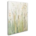 thumbnail image 2 of Trademark Fine Art "Spring Grasses I Crop" Canvas Art by Avery Tillmon, 2 of 3