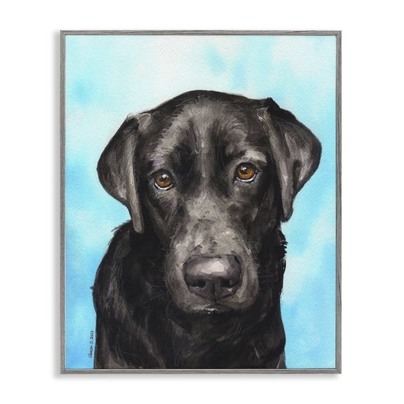 Stupell Industries Contemporary Black Lab Portrait on Blue Gray Framed Giclee Art, 16 x 20, by George Dyachenko