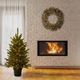 thumbnail image 3 of National Tree Company 4 ft. Kennsington Tree with Clear Lights, 3 of 3
