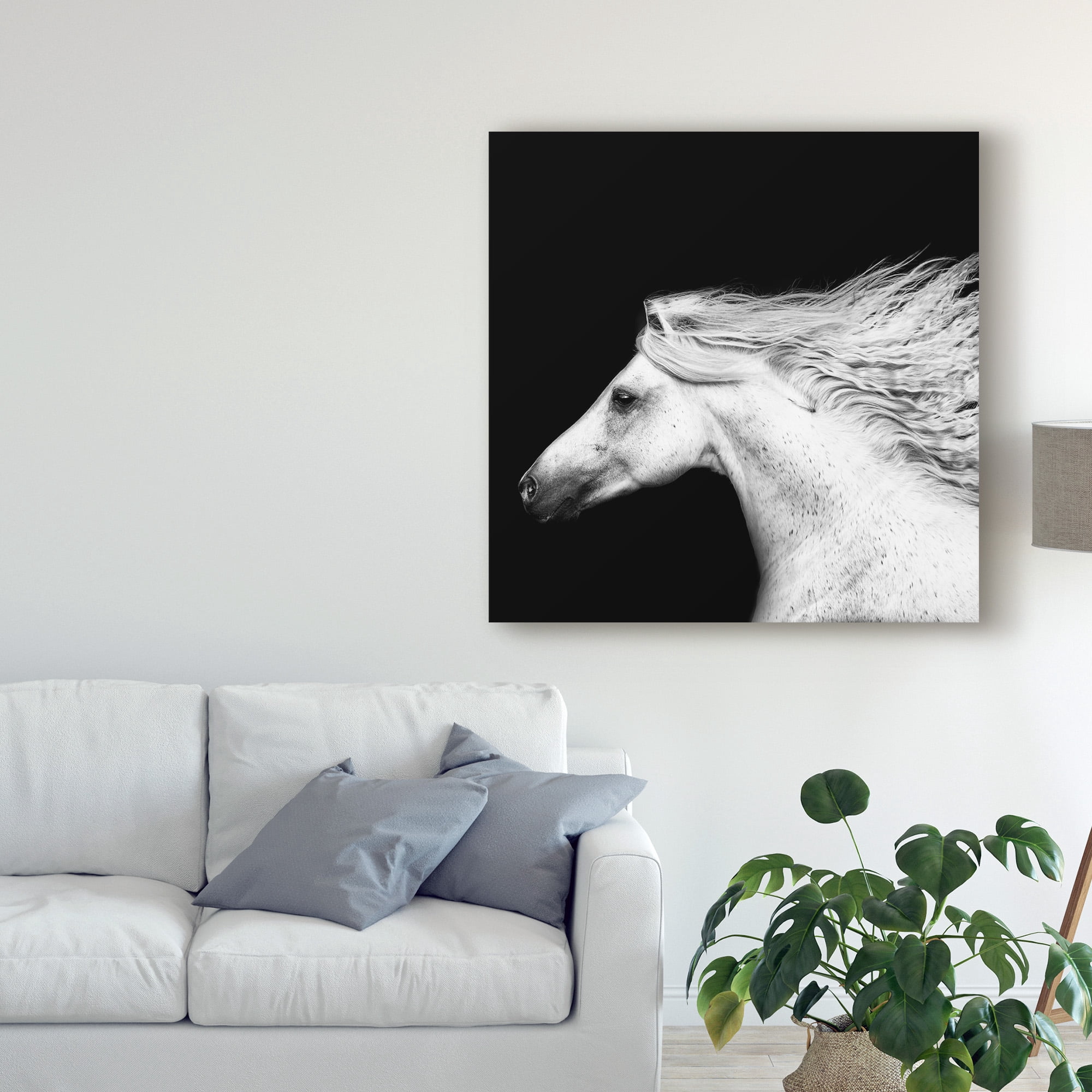 Trademark Fine Art 'Black And White Horses V' Canvas Art by PHBurchett