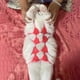 thumbnail image 1 of Puntoco Ropa Interior Para Mascotas De Bikini De Gatito De Lana Hecha A Mano En Rojo Divertido, Decoración Del Hogar, 1 of 8