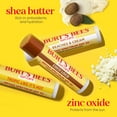 thumbnail image 3 of Bálsamo labial Burt's Bees Beaches & Cream Sun Care SPF 30 (paquete de 3), 3 of 9