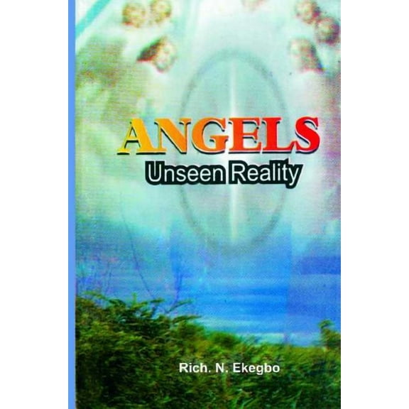 Angels : Unseen Reality (Paperback)