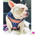 thumbnail image 6 of French Bulldog Harness | Versatile Health Harness | All American, 6 of 10