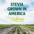thumbnail image 3 of SPLENDA Stevia Zero Calorie Sweetener, 3 of 8