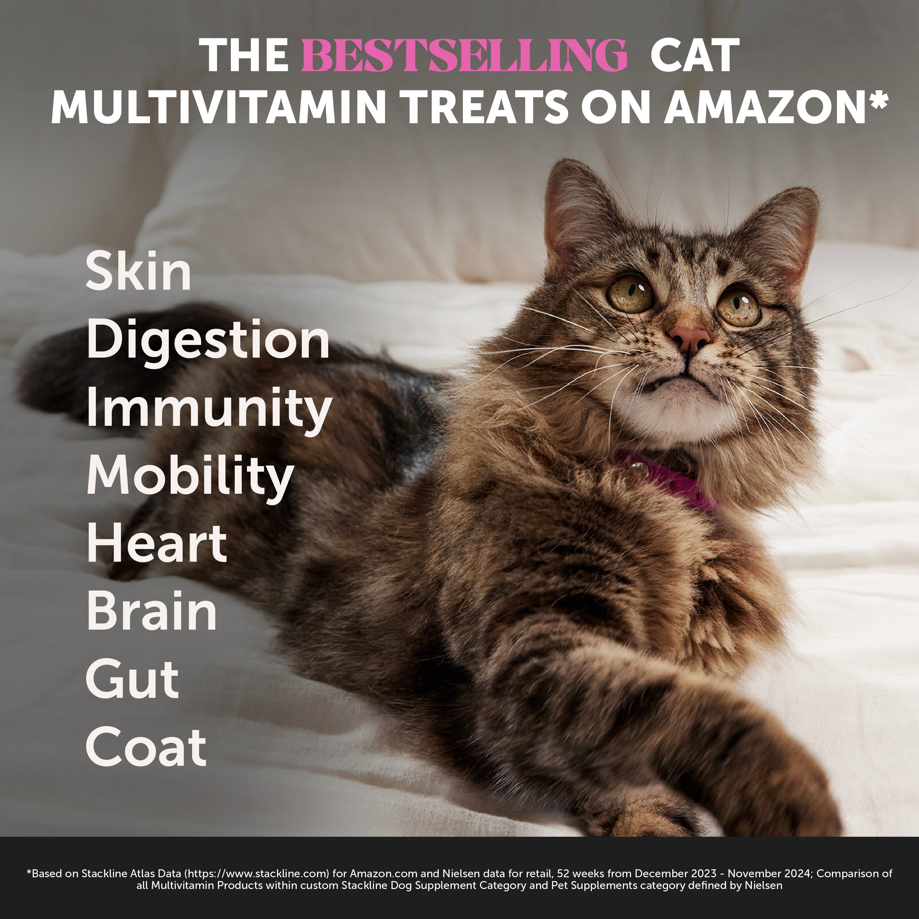 (2 pack) Dual Texture Multivitamin for Cats (Chicken Flavor)