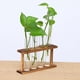 thumbnail image 3 of Cristal Planta Terrario BLESIY Jarrón Macetas para Plantas Hidropónicas Decoración Del Jardín, 3 of 8