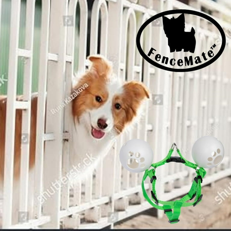 FenceMate Dog Harness to Keep Pet Safe from Escaping Through Fence