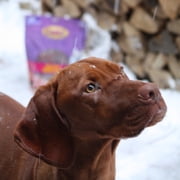 Cadet Gourmet Dog Treats Duck Jerky for Dogs, Training Treats for Small & Large Dogs, 40 Ounce