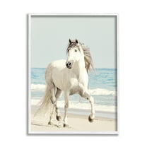 Stupell Industries Galloping White Stallion Wild Horse Sun Bleached Coast, 16 x 20, Design by Jan Walters