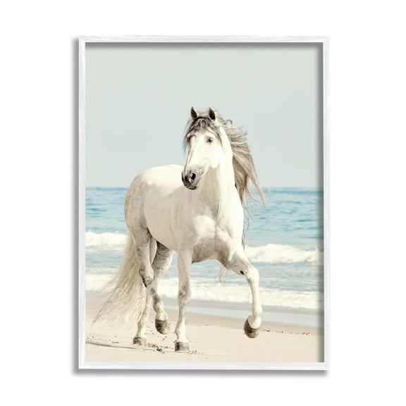 Stupell Industries Galloping White Stallion Wild Horse Sun Bleached Coast, 16 x 20, Design by Jan Walters