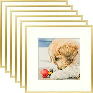 Old Town 6pk- 8x8 Matted Square Gallery Picture Frames (Gold, 8x8