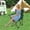 Green, variant on Folding Camping Chair for Adults, Portable Outdoor Chair with Cup Holder & Carry Bag, for Camping Beach Picnic Fishing, Compact Foldable Chair
