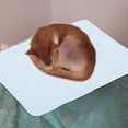 thumbnail image 4 of TEHAUX hundematte waschbar Cloth Sky-blue for Dogs Rooms 1Pack, 4 of 6