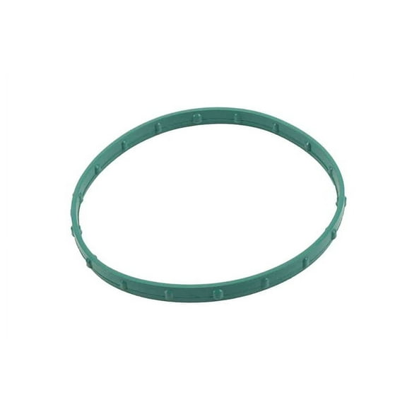 Throttle Body Gasket