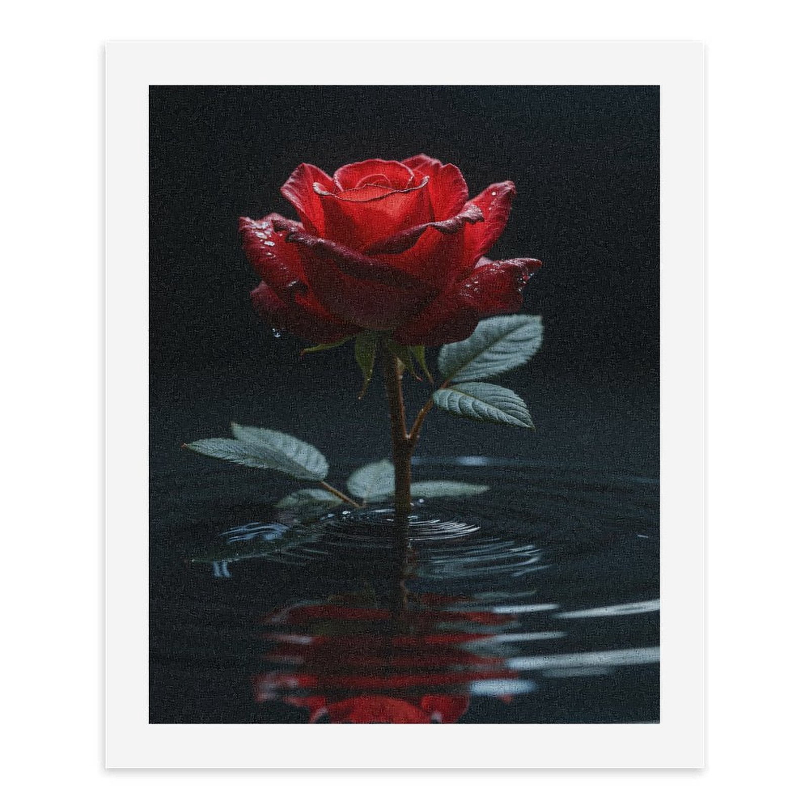 Paint by Numbers Kit for Adults, Red Rose Reflected In Water Paint by Numbers, Easy Paint by Numbers Kit for Adults Beginner, DIY Adult Paint by Number Kits on Canvas, Home Decor
