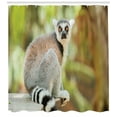 thumbnail image 3 of Ambesonne Lemur Shower Curtain, Aperture Photo Mammal Animal, 69"Wx70"L, Multicolor, 3 of 3