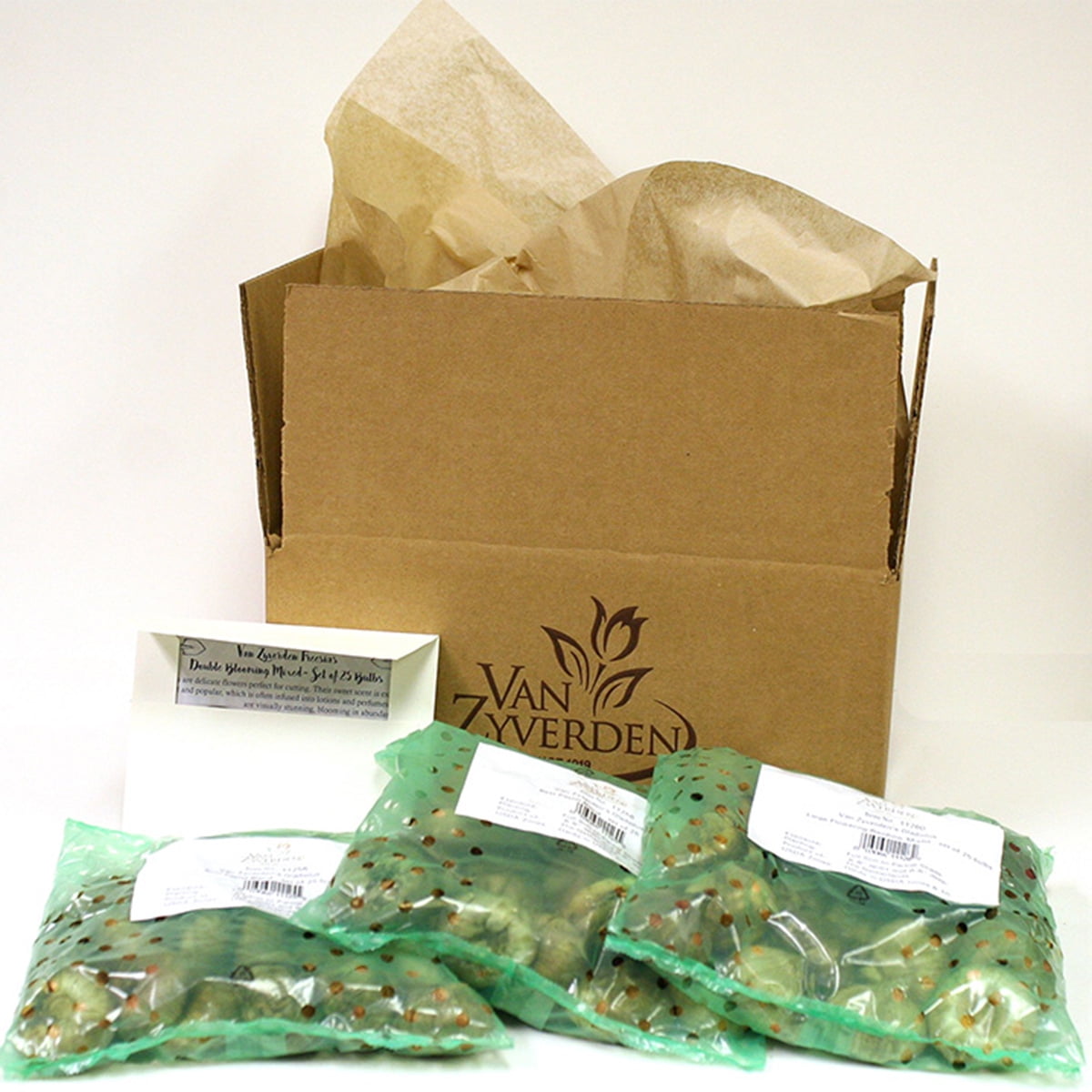 Van Zyverden Butterfly Magnet Collection Set of 13 Plant Roots Multicolor Full Sun Perennial Pollinator 4 lbs