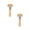 O506 Gold 6.7X2.6" 2Pack, variant on 2Pcs Pizza Roller, Non Stick Small Rolling Pin for Dough, T Round Type Wooden Dough Roller, Wood Pastry Pizza Rolling for Cooking Cookie Bread Tortilla Dumpling Happy 2026!