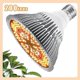 thumbnail image 1 of Advanced LED Grow Lamps for Greenhouses: Superior Plant Growth Solution, 1 of 5