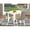 White, variant on East West Furniture Dining Room Set Linen White, NDEL3-LWH-07