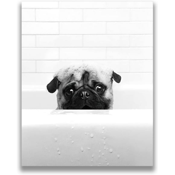 AEFER Giraffe Funny Bathroom Wall Decor - GiraffeBathtub Art Prints Black and White Animals Pictures Poster