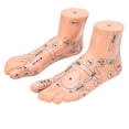thumbnail image 2 of Modèle de Pied, Modèle de Pied d'Acupuncture 19cm / 7.5 Po Pieds pour Accessoire d'Enseignement, 2 of 8