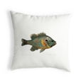 thumbnail image 1 of Betsydrake KS021 Pumpkinseed Fish Noncorded Pillow - Small, 1 of 1
