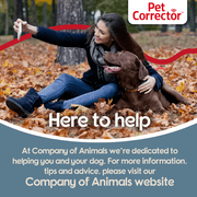 (2 pack) PET CORRECTOR 30ml