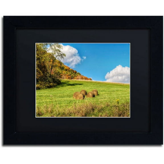 Trademark Fine Art "October Afternoon" Canvas Art by Lois Bryan, Black Mat, Black Frame