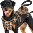 thumbnail image 1 of Arnés táctico para perros Beebiepet Heavy Duty para perros grandes, 1 of 5