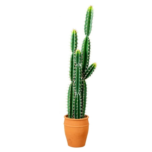 Nearly Natural 5ft. Artificial Cactus in Terracotta Planter