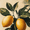 Fresh Lemon Botanical Kitchen Poster, variant on Qisvanset 12x16 Inch Framed Canvas Wall Art Casino Gambling Bear Funny Anthropomorphic Vintage Wall Decor