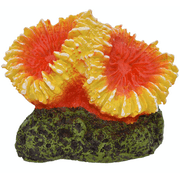 Komodo Orange و Yellow Starburst Coral Aquarium الديكور
