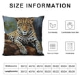 thumbnail image 5 of Shangniulu African Animal Safari Leopard Wildlife Pillow Cover ,Decorative Couch Pillow Cover for Sofa,Short Plush Cushion Case Indoor Outdoor Home Decoration, 5 of 5