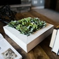 thumbnail image 6 of Vickerman 12"x12" Artificial Green Succulent Arrangement., 6 of 6