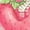 LIGHT PINK, variant on Strawberry Shortcake - Giant Strawberry Short Sleeve Boxy Graphic T-Shirt
