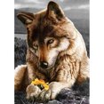 thumbnail image 1 of Pintura Taladro Diamante (DE5992) DIY Resina Lobo Animal Kit Completo Dibujo Redondo Decoración 20X30cm Hugtrwg Para estrenar, 1 of 1