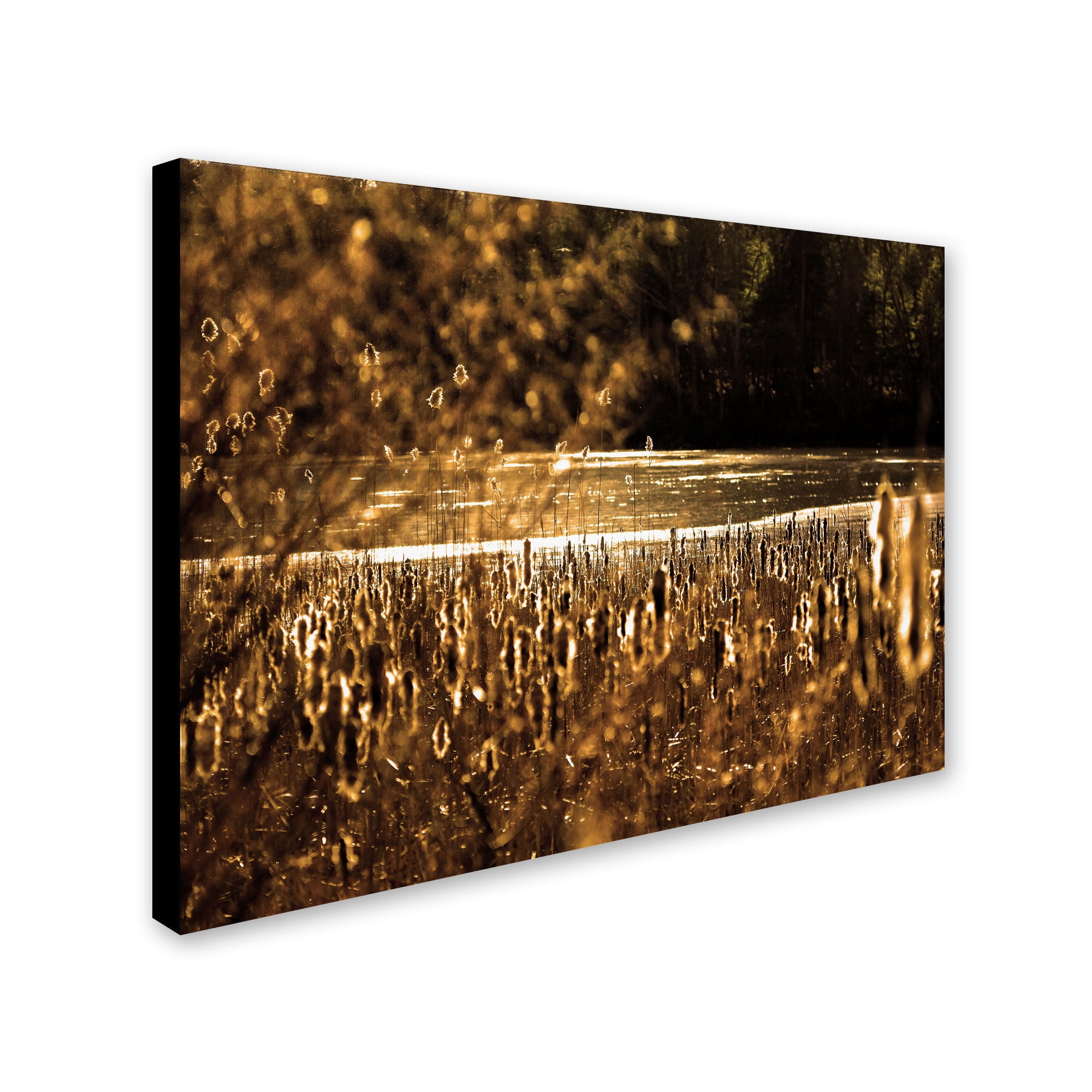 Trademark Fine Art "Boston 6" Canvas Art by CATeyes