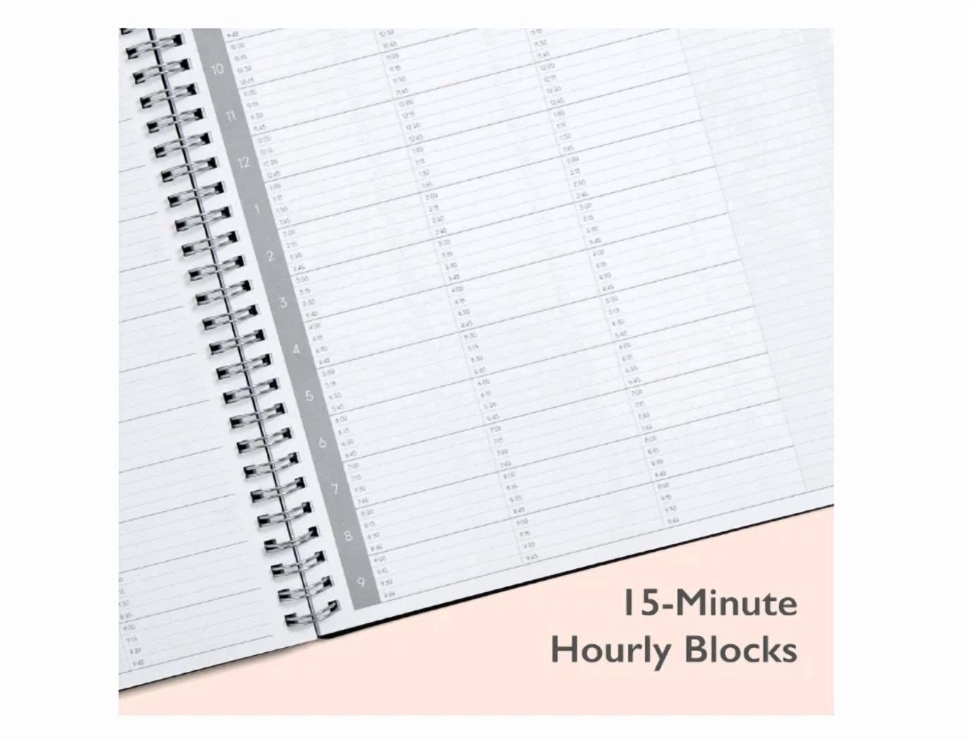 Blue Sky 2025 Weekly And Monthly Planner, January - December, 8.5" X 11", 2025..
