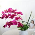 thumbnail image 3 of Silk Artificial Phalaenopsis Flowers Artificial Orchid Flowers Branches 8 Large Blooms 30 Inches Stem Plants for Home Wedding Garden Decoration, 3 of 6