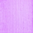 thumbnail image 1 of Ahgly Company Indoor Square Solid Purple Modern Area Rugs, 5' Square, 1 of 4