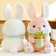 thumbnail image 5 of 2026 New Easter Bunny Plush Toys, Easter Stuffed Animals Toys Bunny Decor Soft Pillow Toys, Cute and Adorable Companions, Cartoon Carrot, Best Gifts for Bunny Easter Holiday Birthday (Bunny, B), 5 of 7