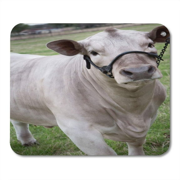 SIDONKU Cow Livestock Show Steer Farm Texas Mousepad Mouse Pad Mouse Mat 9x10 inch